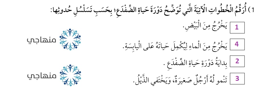 دورة حياة الضفدع دورة حياة الضفدع